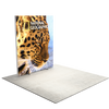 6.5ft Firefly SEG Lightbox Double-Sided Backlit Display