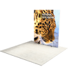 6.5ft Firefly SEG Lightbox Double-Sided Backlit Display