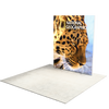 6.5ft Firefly SEG Lightbox Single-Sided Backlit Display