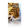 6.5ft Firefly SEG Lightbox Single-Sided Backlit Display