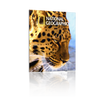 6.5ft Firefly SEG Lightbox Double-Sided Backlit Display