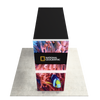 3.5ft Firefly Arch SEG Lightbox Backlit Display