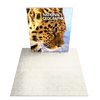 6.5ft Firefly SEG Lightbox Single-Sided Backlit Display