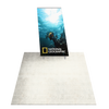 5ft Angled Firefly SEG Lightbox Single-Sided Backlit Display